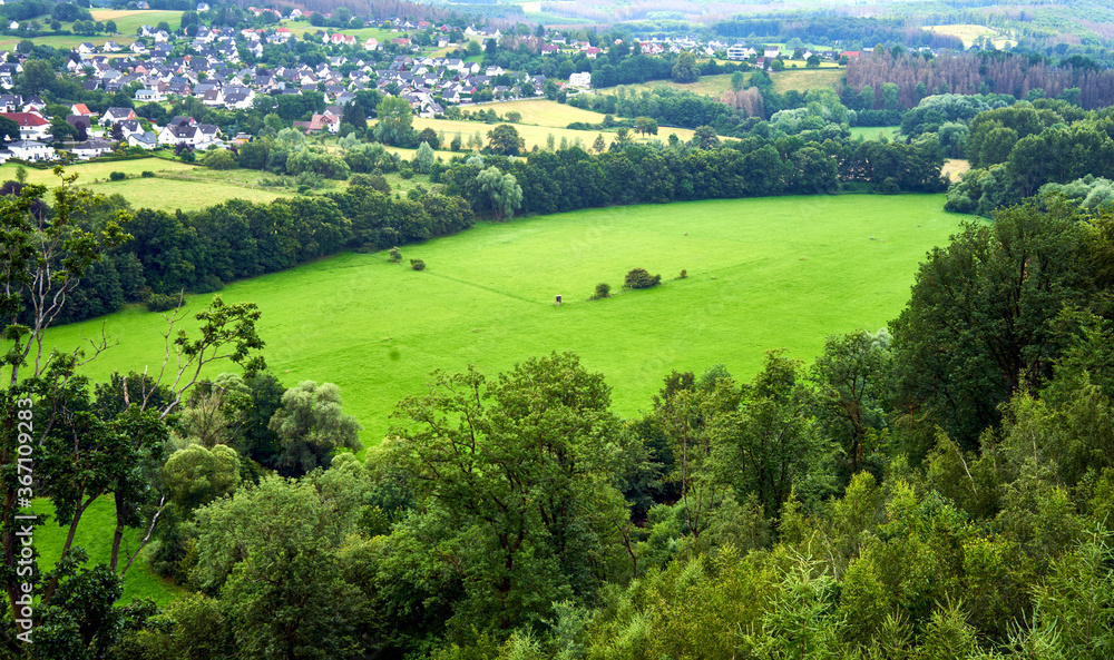 Aerial view of a meadow framed with rows of trees at the edge of a village with detached houses