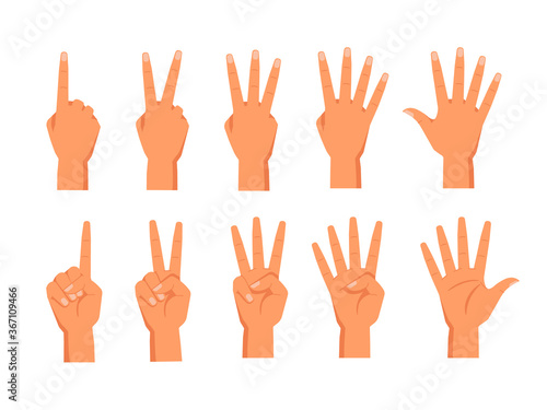 Set of vector hands showing fingers. Front and back view of palm with fingers counting. Sign for one and two, three, four, five numbers. Wrist with digit gesture. Math education for school. Arm count