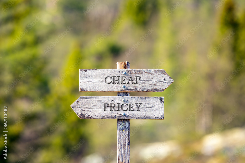 cheap pricey text carved on wooden signpost outdoors in nature. Green soft forest bokeh in the background.