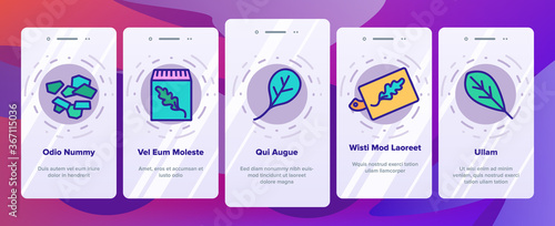 Arugula Or Rucola Onboarding Mobile App Page Screen Vector. Arugula Plant In Greenhouse And Garden, On Plate And Fork, Leaf Spice For Meal Illustrations