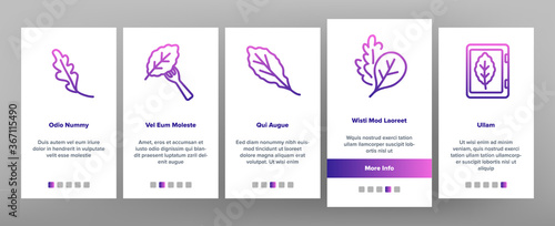 Arugula Or Rucola Onboarding Mobile App Page Screen Vector. Arugula Plant In Greenhouse And Garden, On Plate And Fork, Leaf Spice For Meal Illustrations