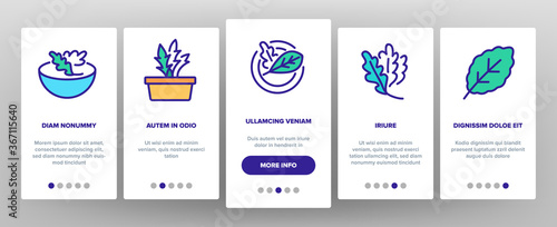 Arugula Or Rucola Onboarding Mobile App Page Screen Vector. Arugula Plant In Greenhouse And Garden, On Plate And Fork, Leaf Spice For Meal Illustrations