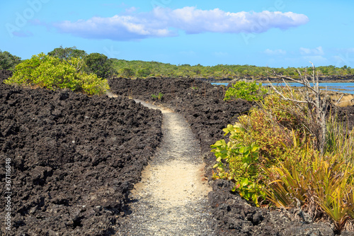 Canvas-taulu Rangitoto Island, a dormant volcano in the Hauraki Gulf, New Zealand