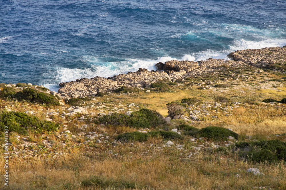 Cape Greco National forest park near Ayia Napa. Cyprus