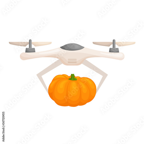 Harvesting concept. The drone collects and delivers crops. The copter flies with a pumpkin. Vector illustration in cartoon style. Harvest.