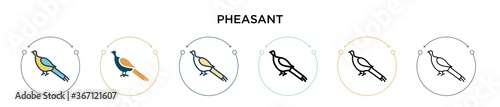 Pheasant icon in filled, thin line, outline and stroke style. Vector illustration of two colored and black pheasant vector icons designs can be used for mobile, ui, web