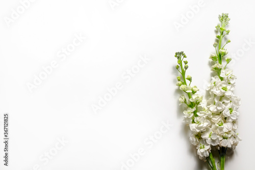 Beautiful floral composition with tender flowers. Women's holiday background concept.