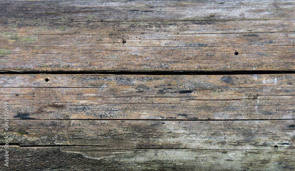 old wood texture background.bamboo wood texture. old wood texture background.bamboo wood texture.