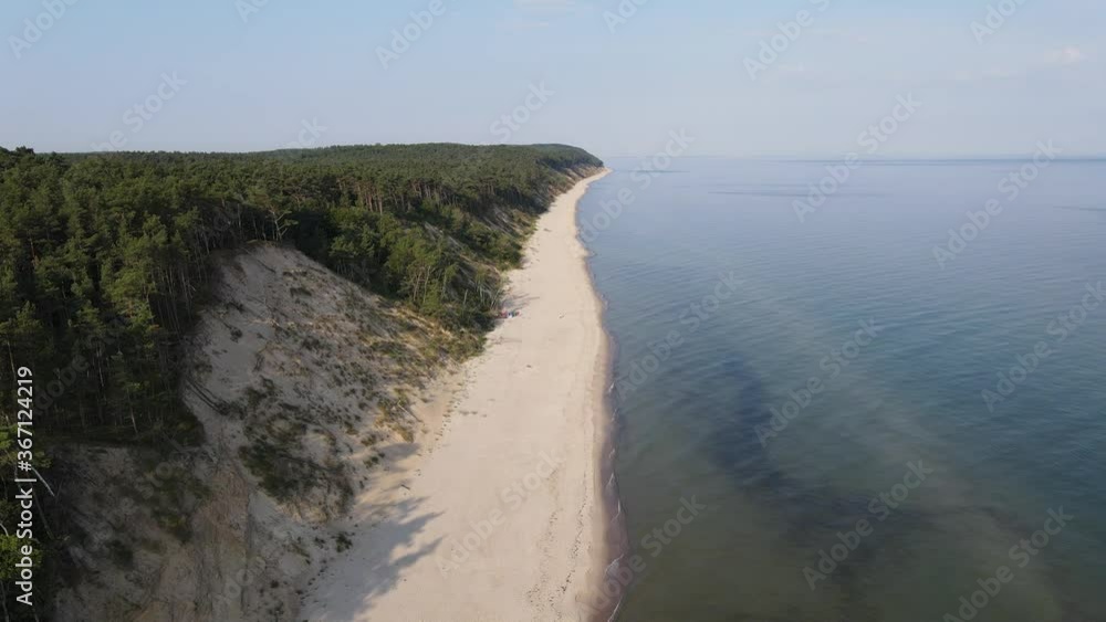Aerial view of the forested dunes and a sandy beach on the calm Baltic Sea Aerial view of the forested dunes and a sandy beach on the calm Baltic Sea