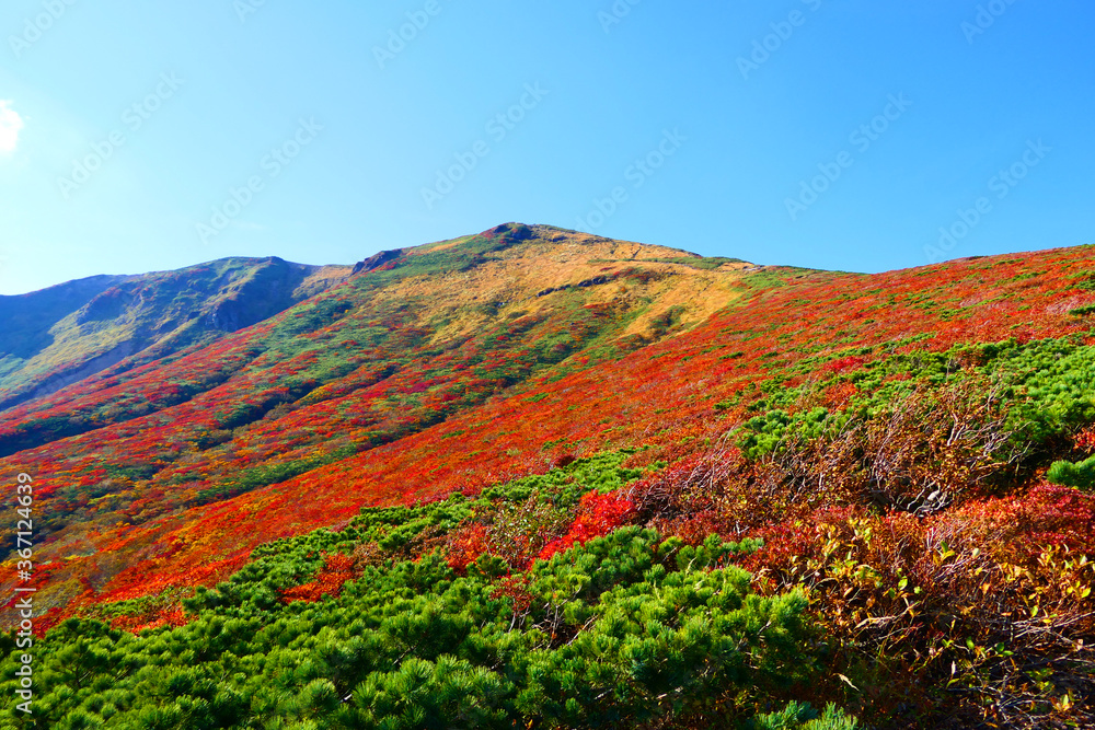栗駒国定公園、栗駒山の紅葉。栗原、宮城、日本。10月上旬。