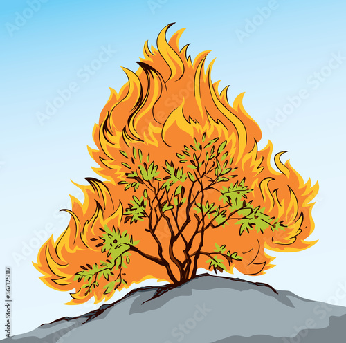 Burning bush. Vector drawing icon