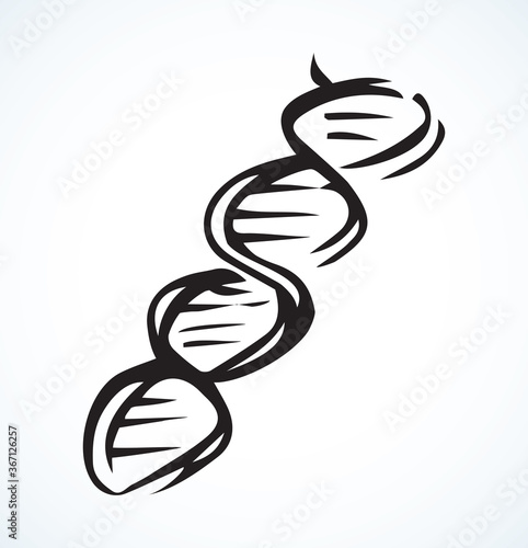 DNA icon sign. Vector drawing