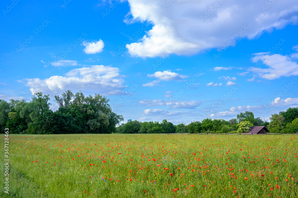 Idylle in Mühlheim am Main