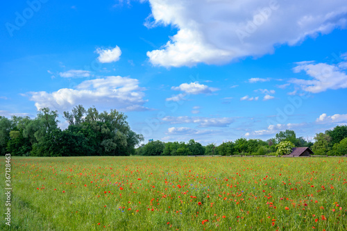 Idylle in Mühlheim am Main