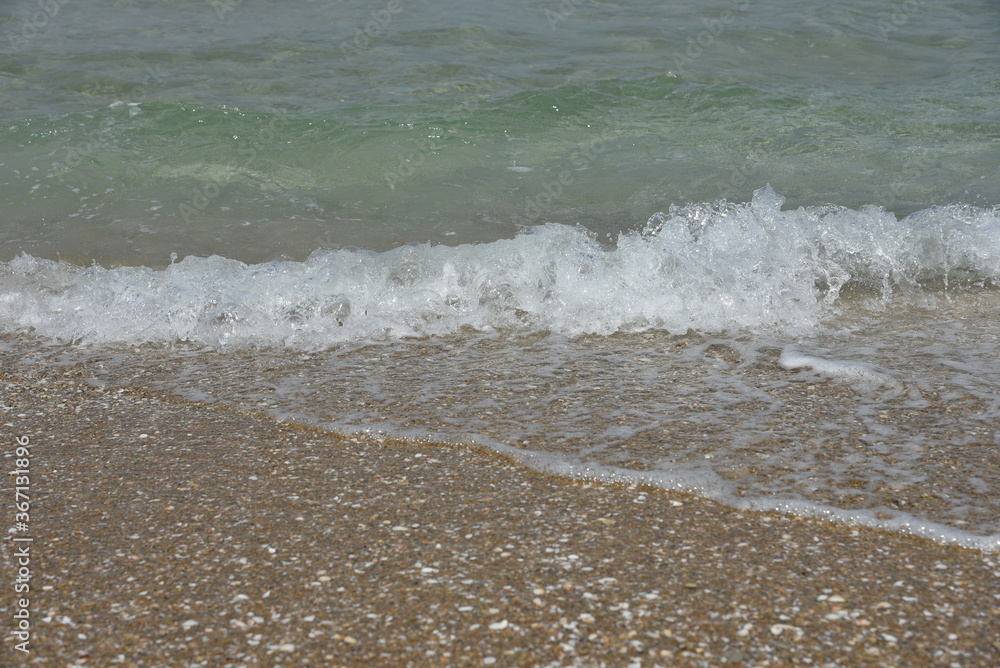 Seashell on a sandy seashore, Seashore in sea shells. Seashell on a sandy seashore, Seashore in sea shells.