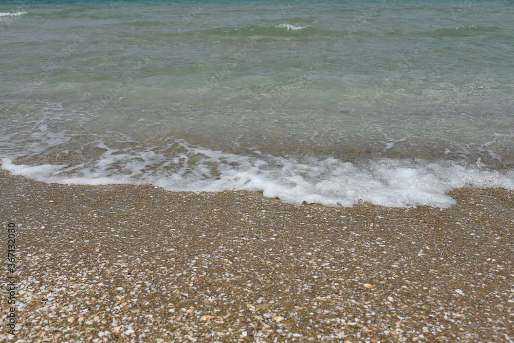 Seashell on a sandy seashore, Seashore in sea shells. Seashell on a sandy seashore, Seashore in sea shells.