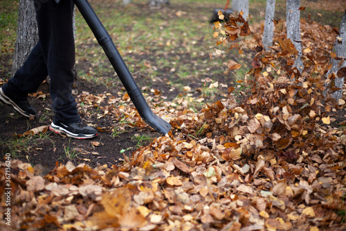 Cleaning dry leaves with a wind turbine.