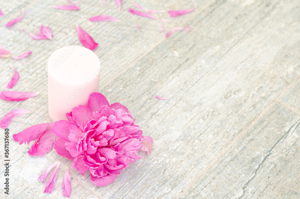 Beautiful pink peony flowers and white candle on light grey stone background with copy space for your text top view. Greeting card, SPA and romantic concept. Beautiful pink peony flowers and white candle on light grey stone background with copy space for your text top view. Greeting card, SPA and romantic concept.