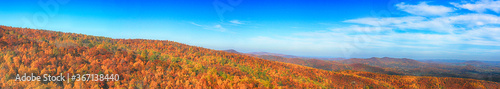 Scenic colors of the fall season in Shenandoah Valley, Virginia 