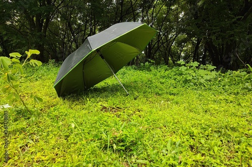 umbrella in the grass