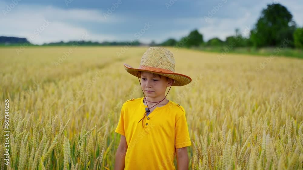 Boy on big field of wheat. Portrait of cute boy walking on wheat field Boy on big field of wheat. Portrait of cute boy walking on wheat field