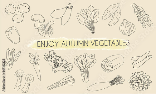 Vegetables various line set