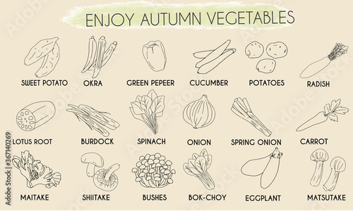 Vegetables various line set
