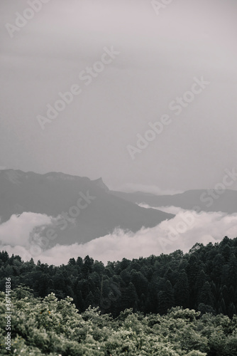 fog in the mountains