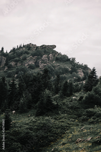fog in the mountains