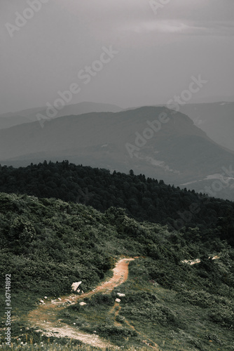 fog in the mountains