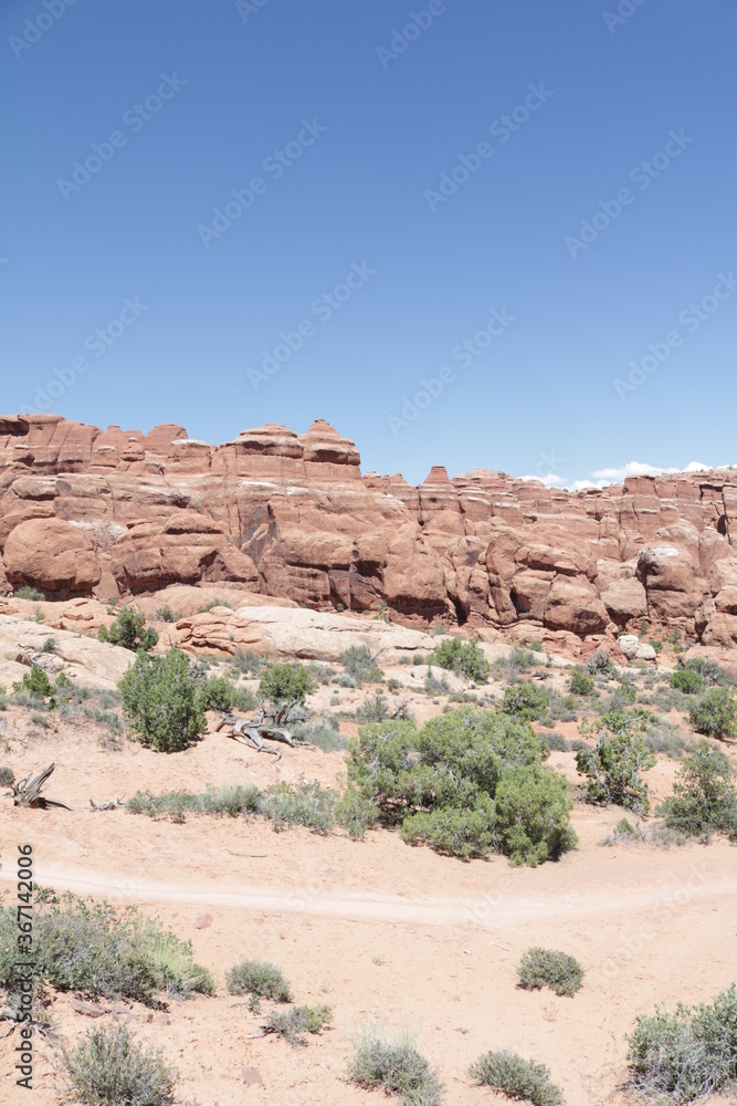 Landscape of Arches National Park