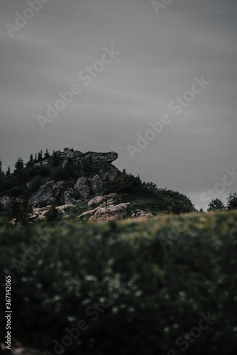 fog in the mountains