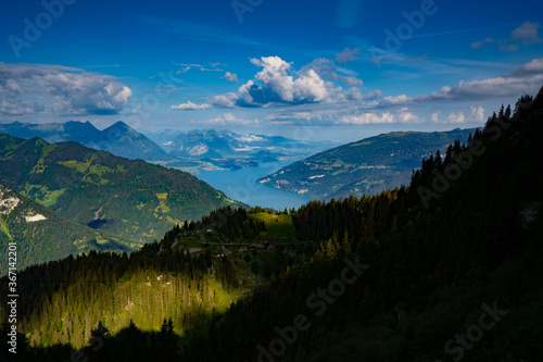 Blick von Schynige Platte zum Thunersee Berner Oberland Panorama Wald im Vordergrund blauer Himmel mit Wolken 