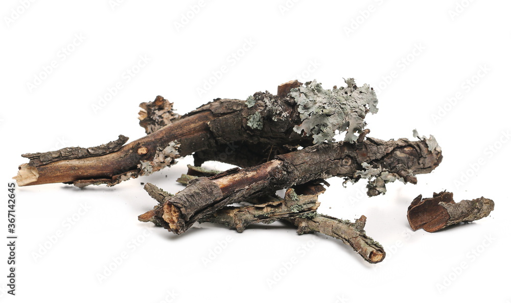 Dry rotten branches, pile for fire isolated on white background