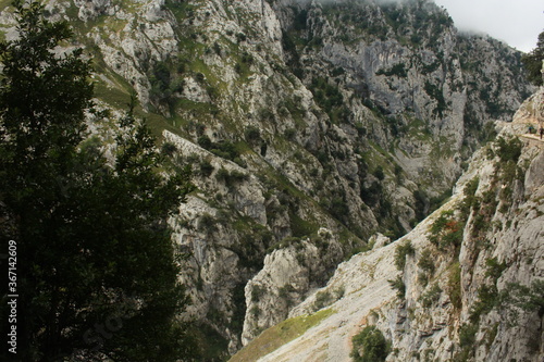 rock in the mountains (The Cares route, Asturias, Spain)