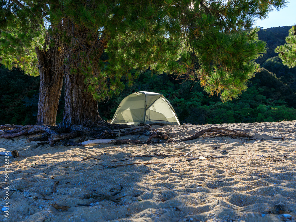 Decke A tent for wild camping on Apple Tree Bay beach surrounded by trees.  Abel Tasman National Park, South Island, New Zealand. - Nikkel-Art.de