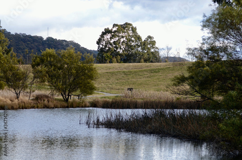 A view of the Lake Pillans Wetlands near Lithgow, Australia photo