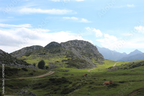 mountain landscape with blue sky (Peaks of Europe, Asturias, Spain)