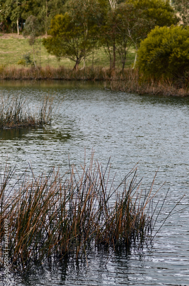 A view of the Lake Pillans Wetlands near Lithgow, Australia A view of the Lake Pillans Wetlands near Lithgow, Australia