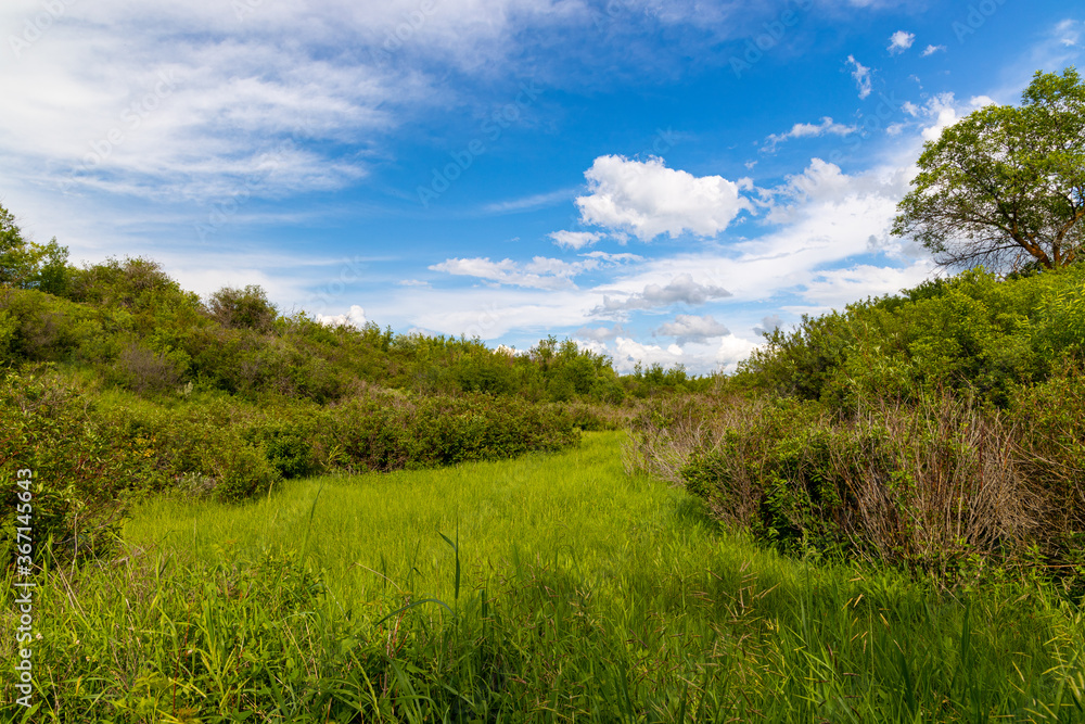 Scenic views of a clearing in a heavy forested area along the South Saskatchewan River near Saskatoon Saskatchewan, Canada Scenic views of a clearing in a heavy forested area along the South Saskatchewan River near Saskatoon Saskatchewan, Canada