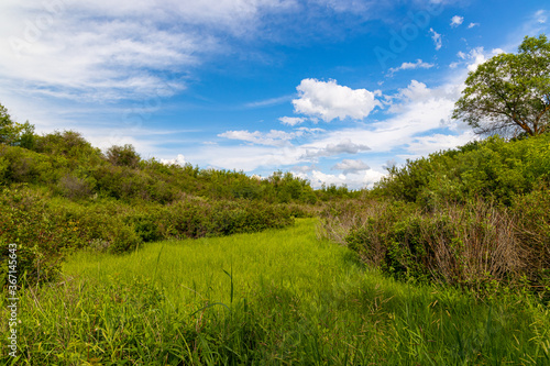 Scenic views of a clearing in a heavy forested area along the South Saskatchewan River near Saskatoon Saskatchewan  Canada