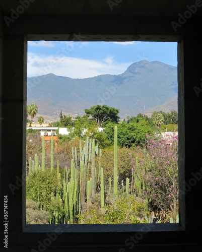 view from the window of a house