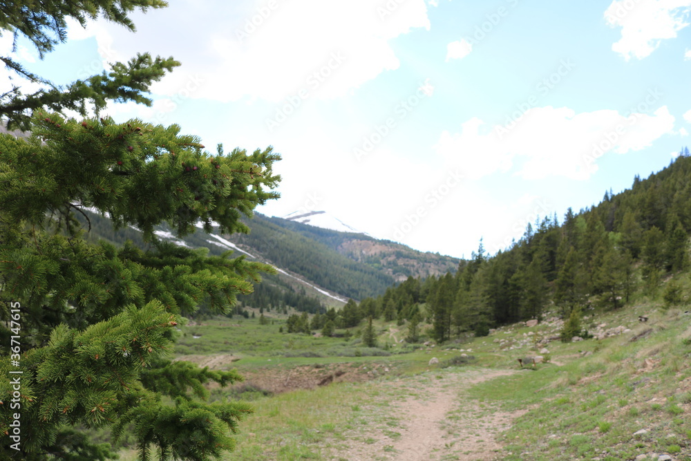 Fototapeta premium Independence ghost town near Aspen Colorado