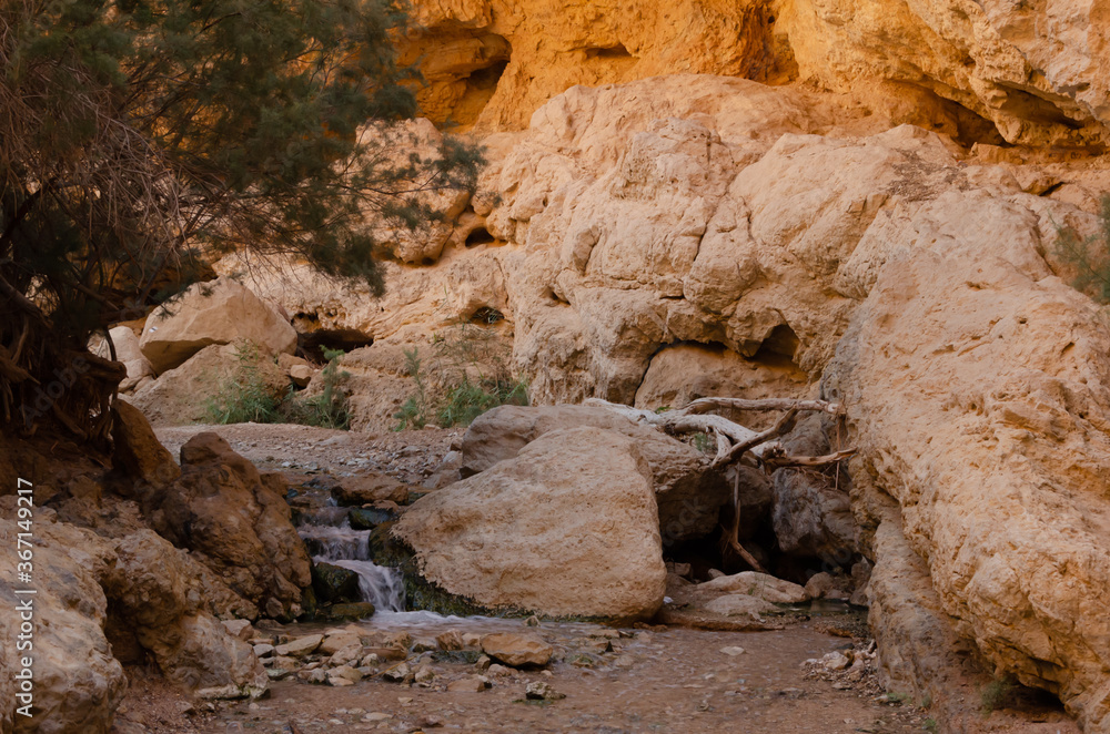 gorge with a stream and waterfall Ein Bokek gorge with a stream and waterfall Ein Bokek