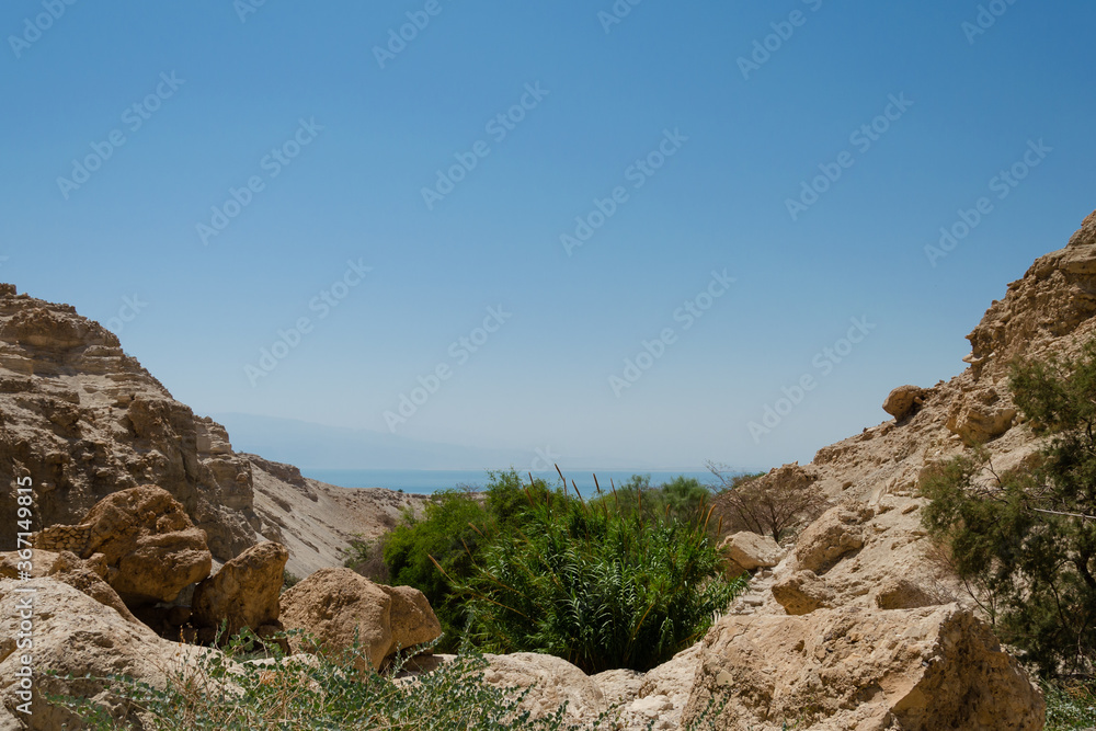 Ein Gedi Nature Reserve at the Dead Sea Ein Gedi Nature Reserve at the Dead Sea