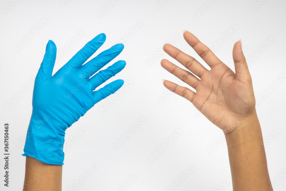 Female hand wears a protective glove for cleaning or tidying. Woman's hand latex glove gesture isolated on white. Female hand putting on latex glove isolated on white background Female hand wears a protective glove for cleaning or tidying. Woman's hand latex glove gesture isolated on white. Female hand putting on latex glove isolated on white background