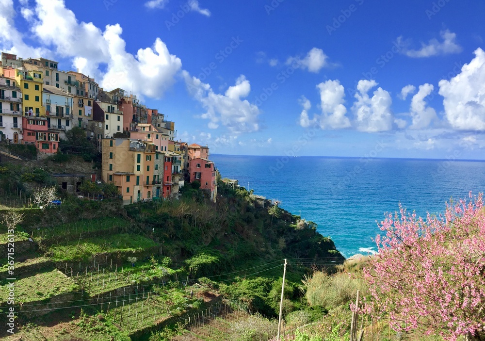 panoramic view of Corniglia one of the Cinque terre villages, Liguria, Italy