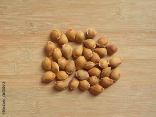 Beige color raw whole dry Apricot seeds