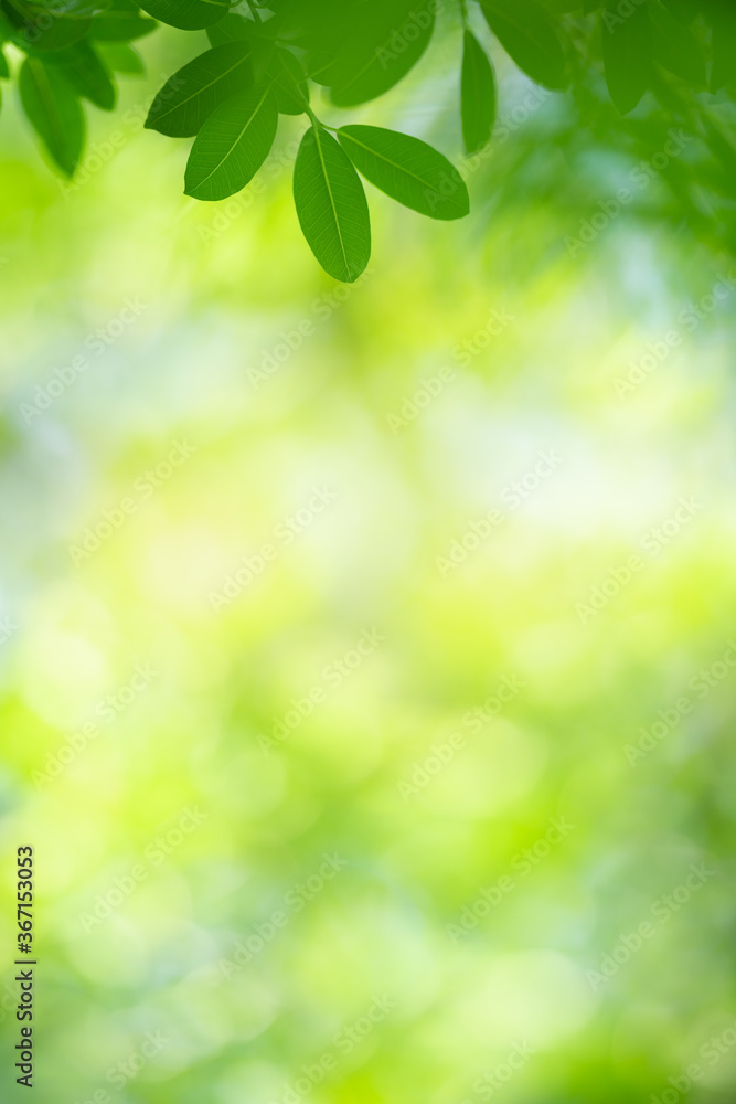 Nature of green leaf in garden at summer. Natural green leaves plants using as spring background cover page greenery environment ecology wallpaper