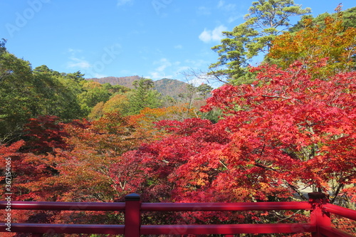 紅葉の秋。美しい日本。
Beautiful Japan.